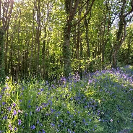 Tresithick Vean * Truro